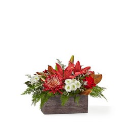 Christmas Break Bouquet from Victor Mathis Florist in Louisville, KY